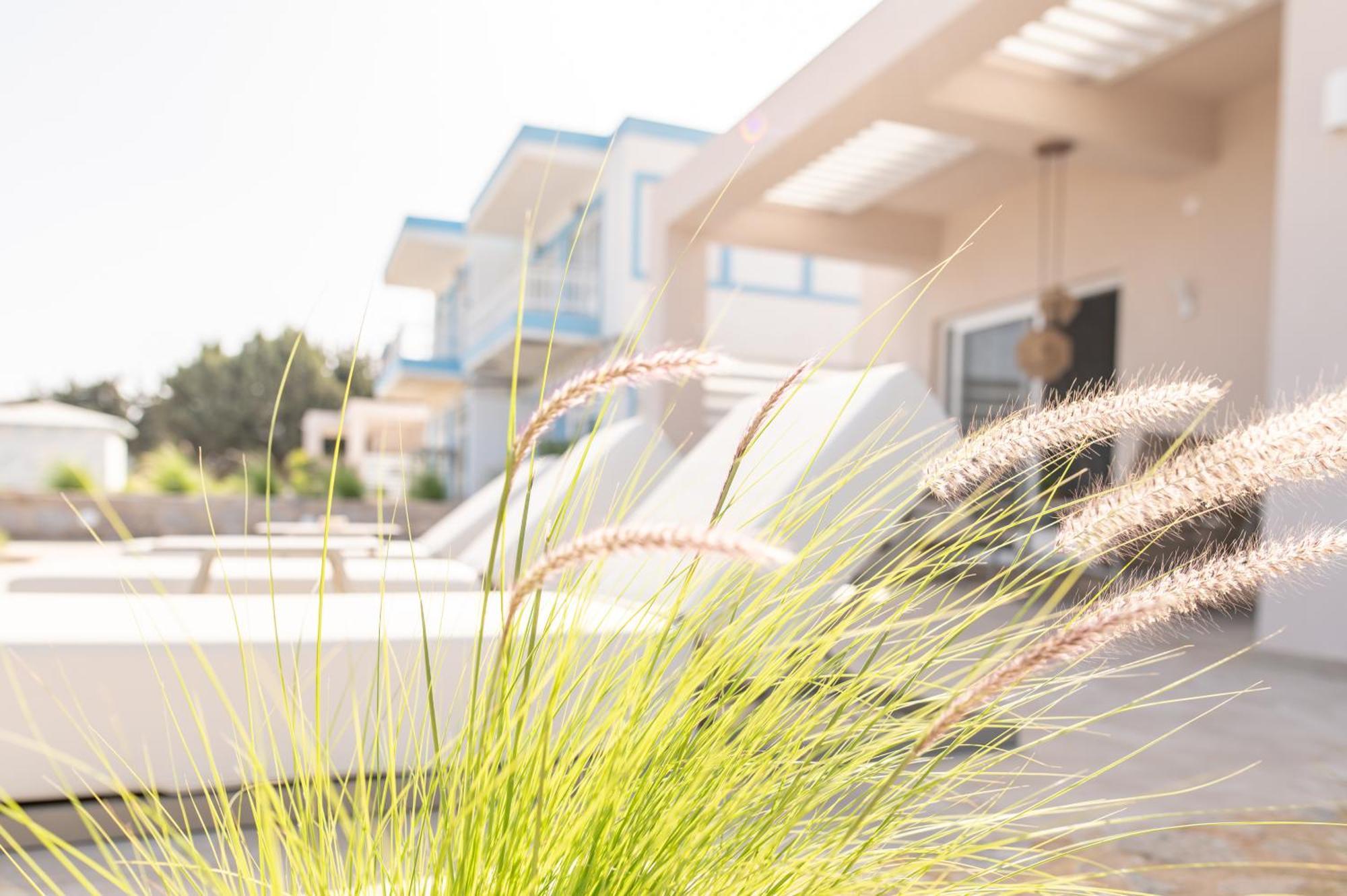 Nalu Luxury Suites Adults Only เคฟาลอส ภายนอก รูปภาพ